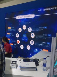 聚合支付技术亮相首届数字中国建设峰会，四九八网络科技引领网络服务创新