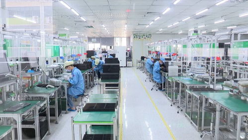 丁红都强调 统筹抓好疫情防控与经济社会发展，以广东网络技术服务赋能双线战役