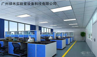 广东网络技术服务 数字化转型浪潮中的关键引擎